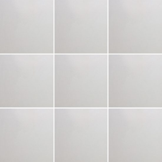 Evolution White image