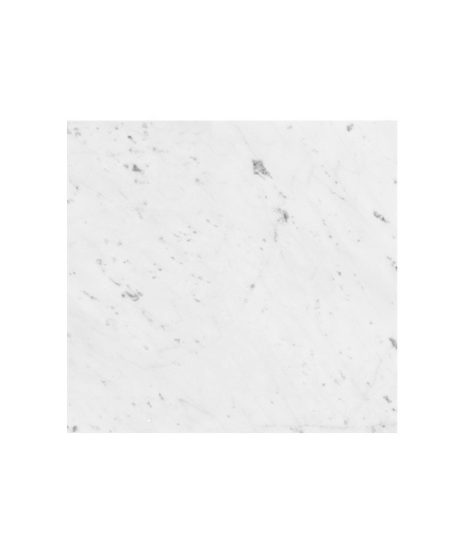 Carrara Honed Tile 100x100 image