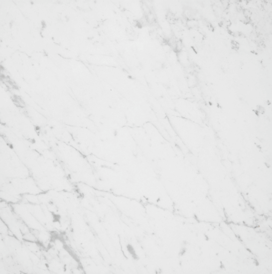 Carrara Honed Tile 305x610 image