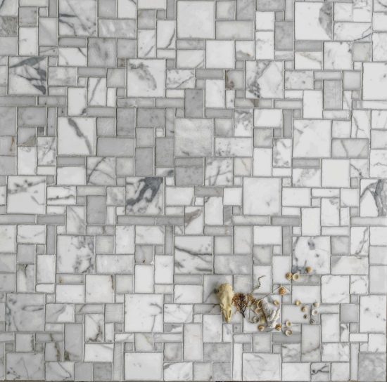 Sibella Court Tradewinds Flotilla Calacatta Oro & Carrara Mosaic image